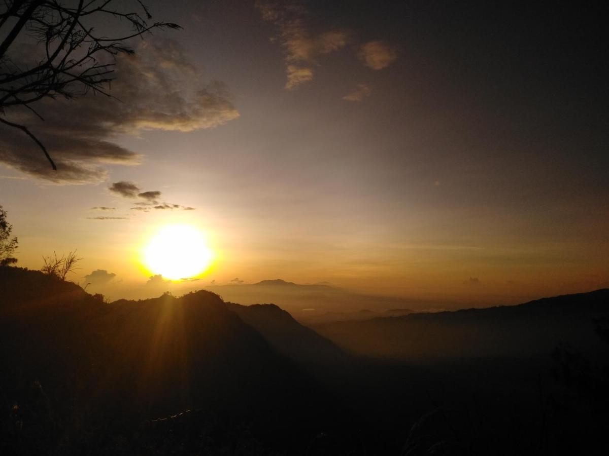 شقة Bromo Tanjung Tosari المظهر الخارجي الصورة