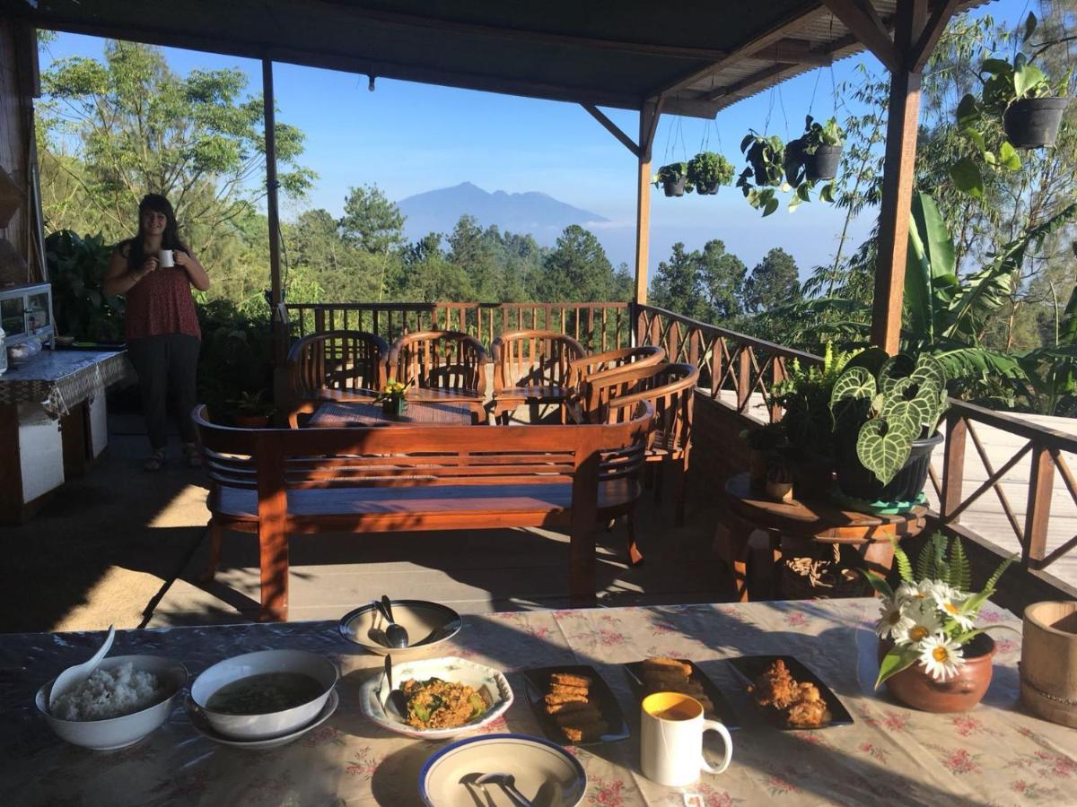 شقة Bromo Tanjung Tosari المظهر الخارجي الصورة