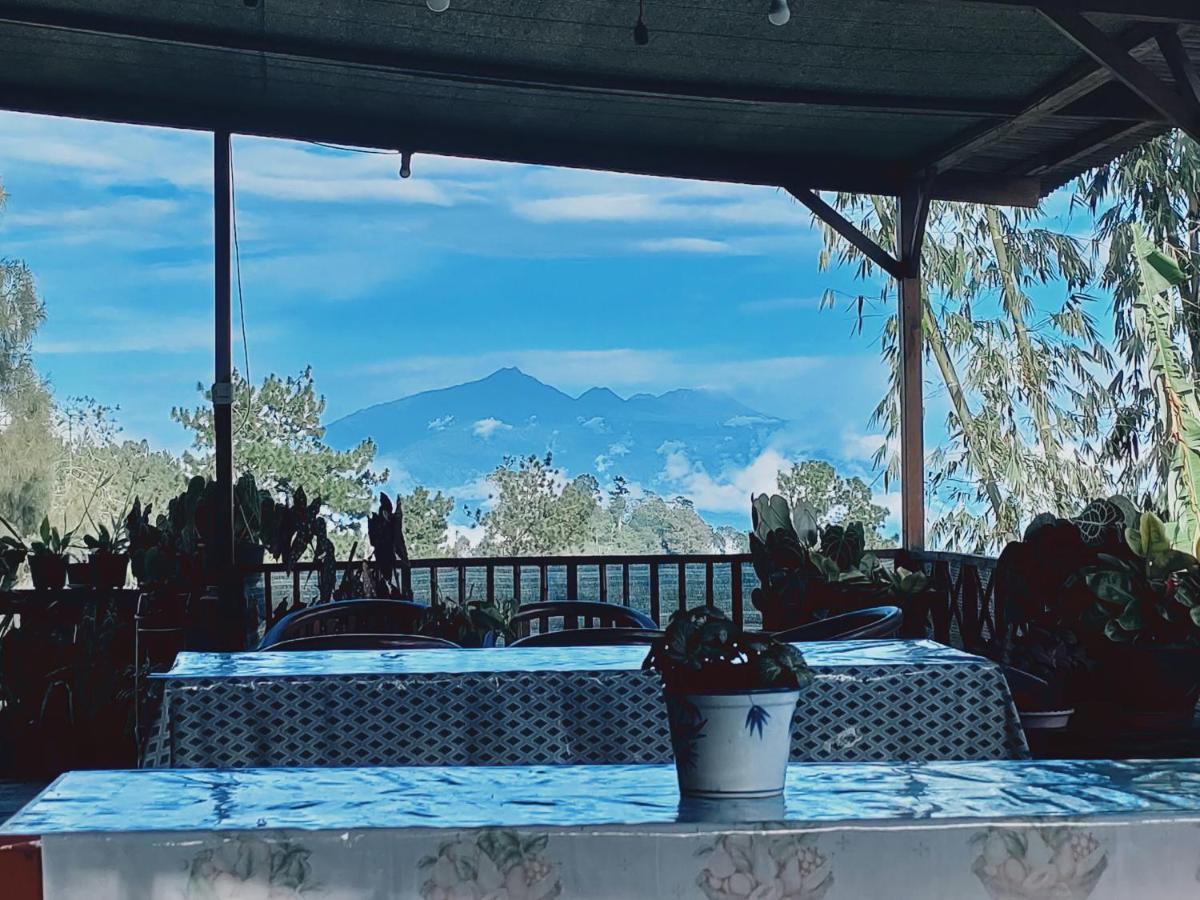 شقة Bromo Tanjung Tosari المظهر الخارجي الصورة