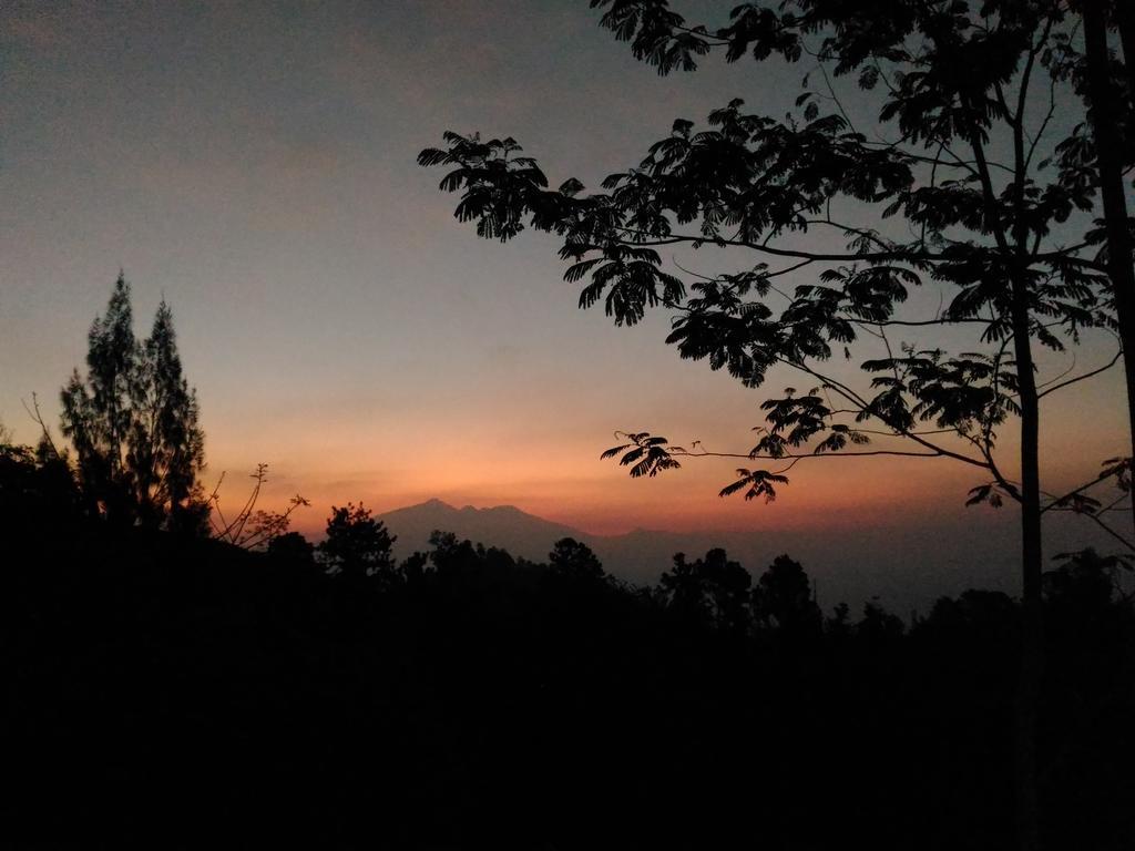 شقة Bromo Tanjung Tosari المظهر الخارجي الصورة