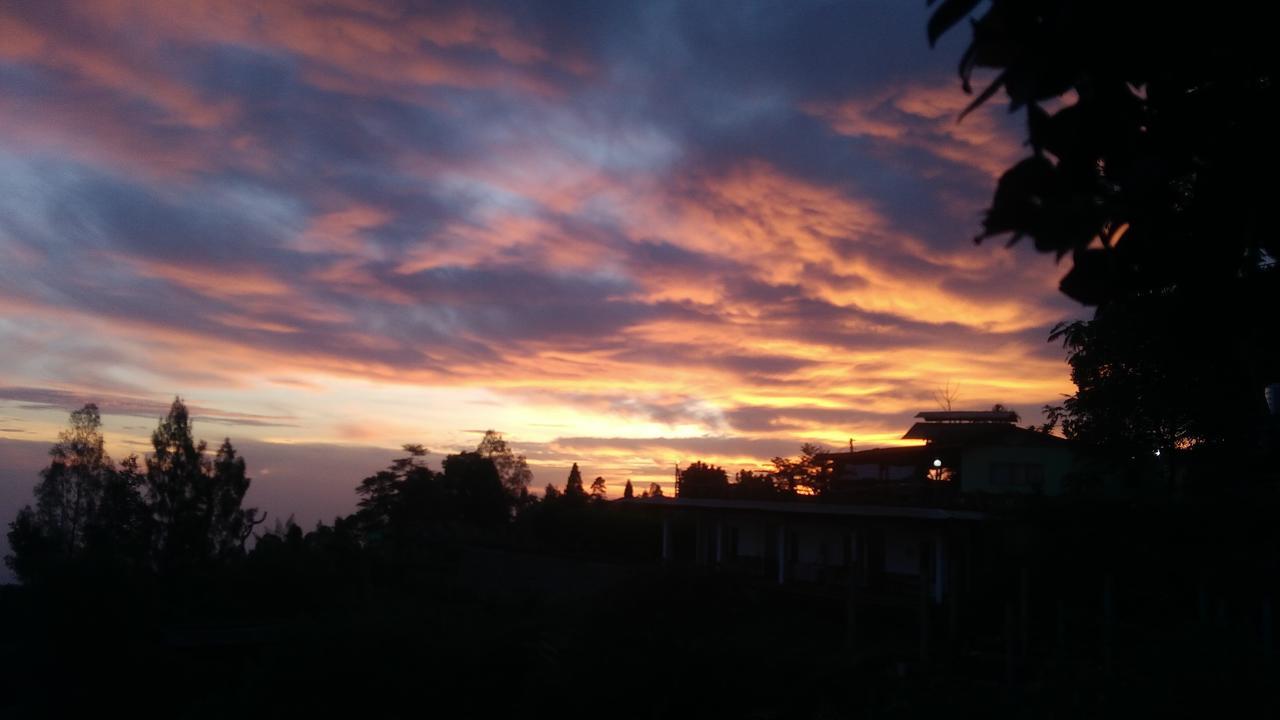 شقة Bromo Tanjung Tosari المظهر الخارجي الصورة