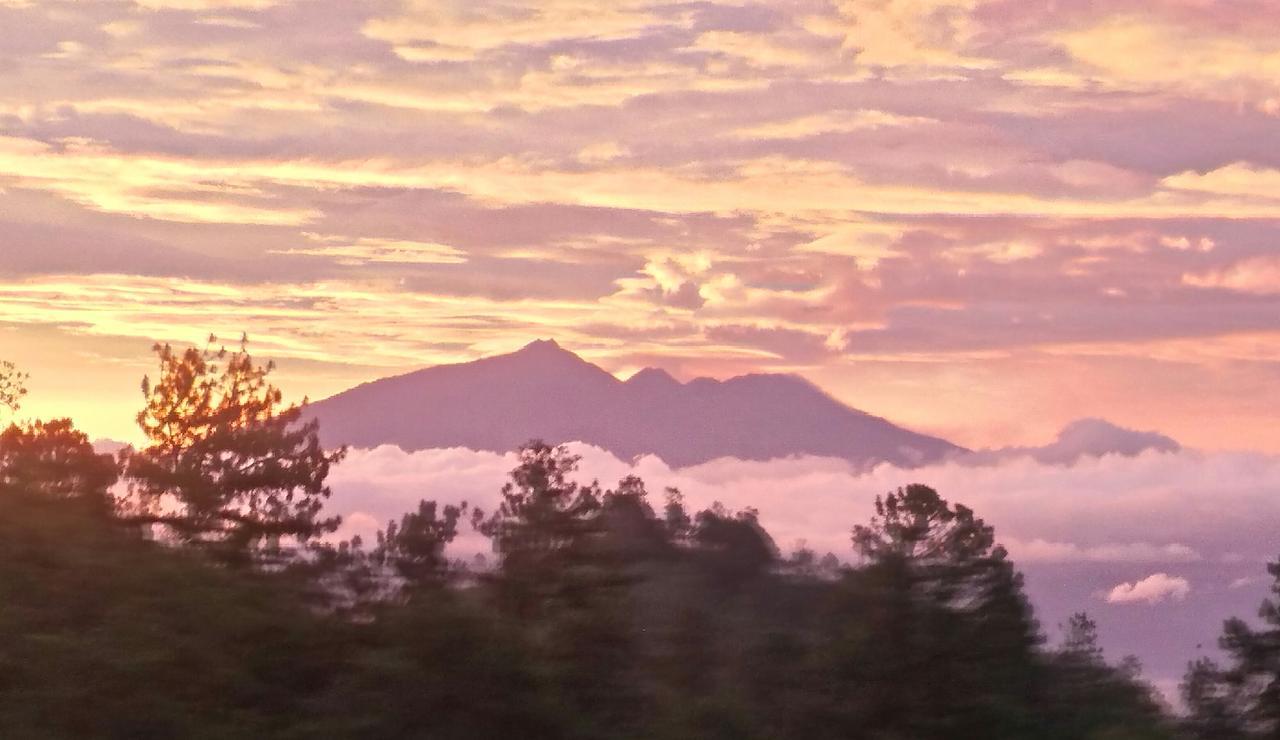 شقة Bromo Tanjung Tosari المظهر الخارجي الصورة