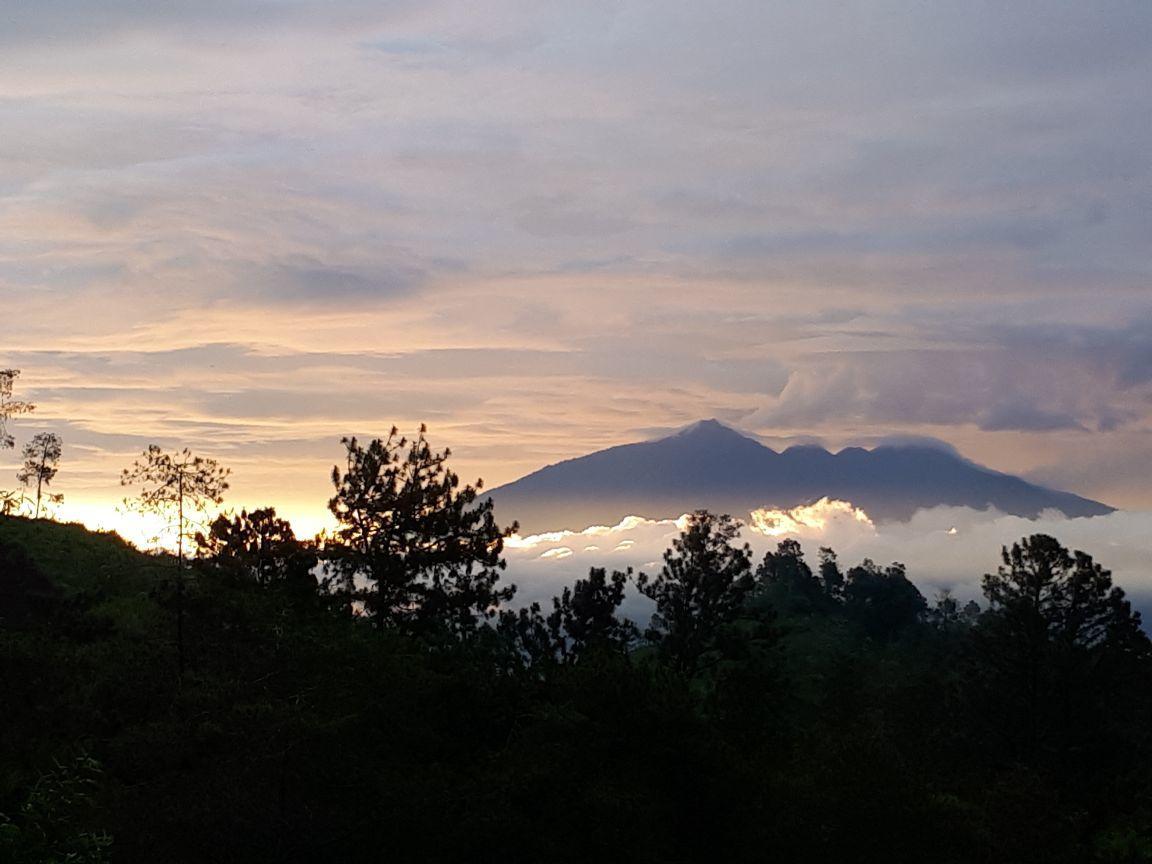 شقة Bromo Tanjung Tosari المظهر الخارجي الصورة