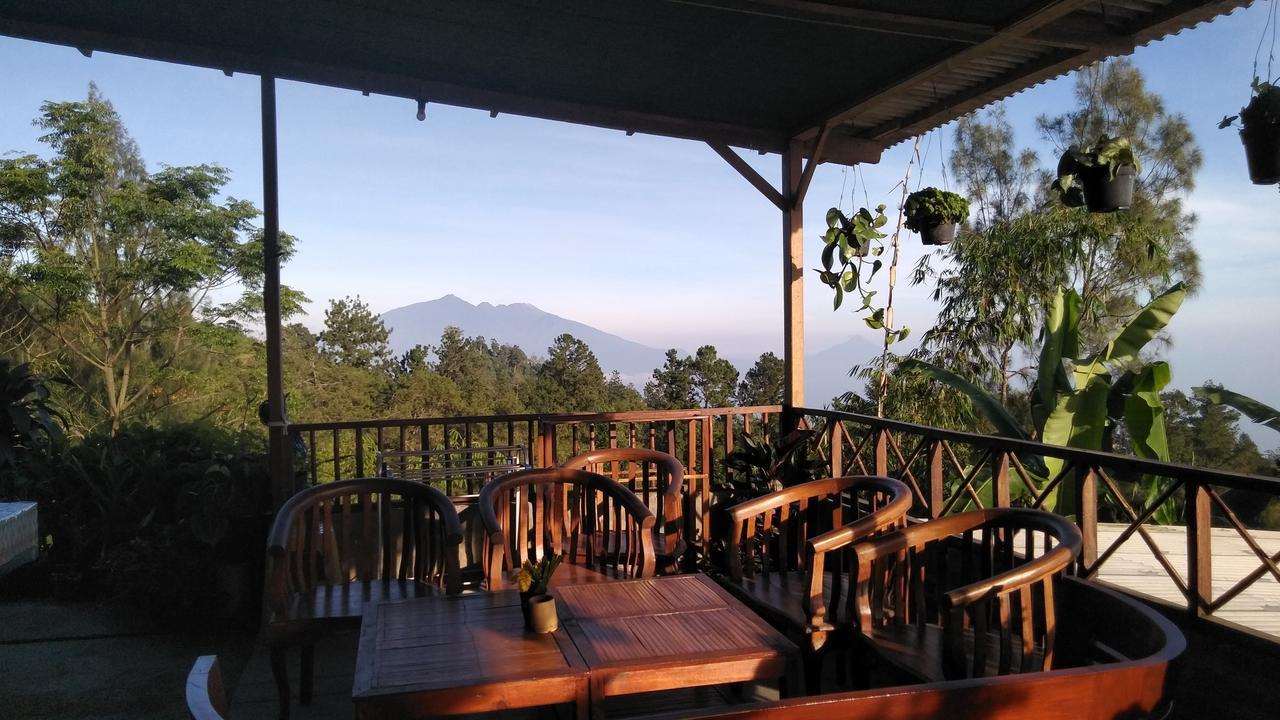شقة Bromo Tanjung Tosari المظهر الخارجي الصورة